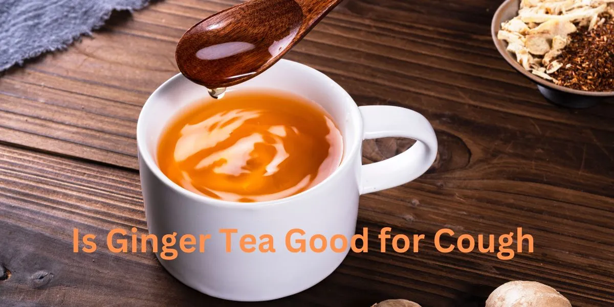 Is Ginger Tea Good for Cough